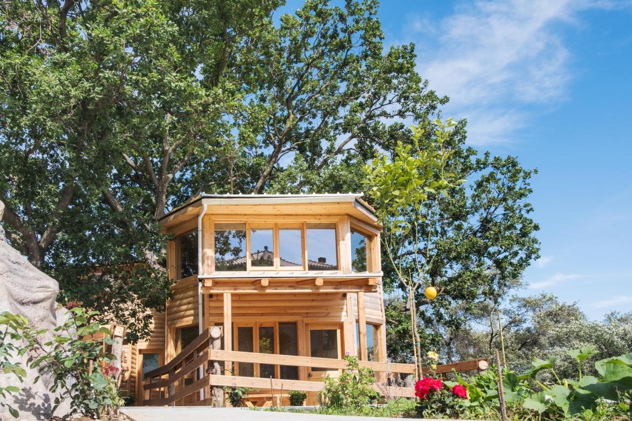 Romantic Tree House Kato Pavliana Exterior foto